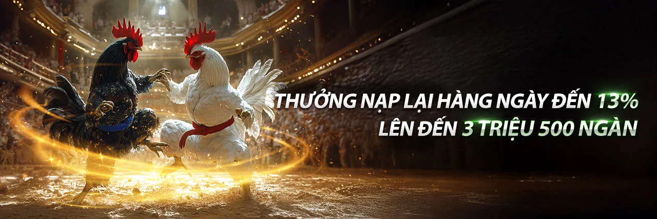 Đá Gà Trực Tiếp C3 Ngày 15 Tháng 04
